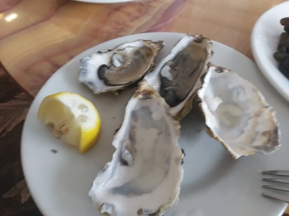 Huîtres Tres Fraîches